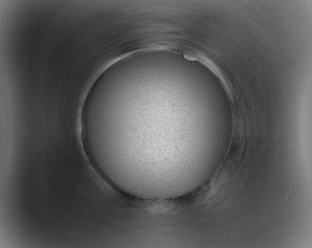 X0000089460811200706291500