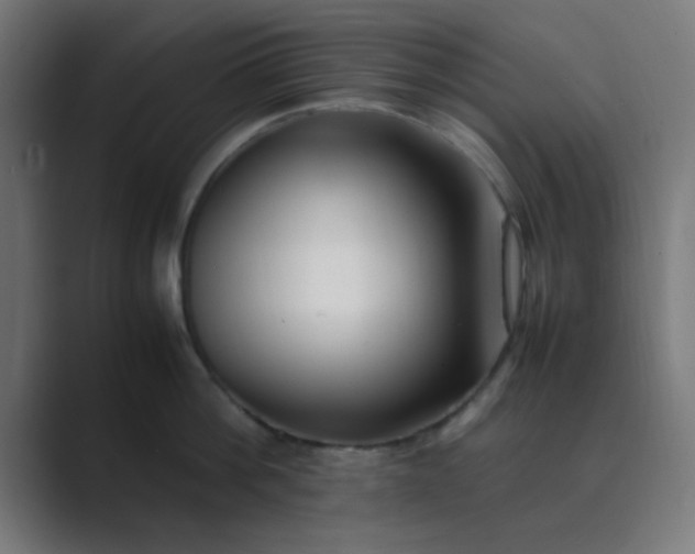 X0000089460812200706291500