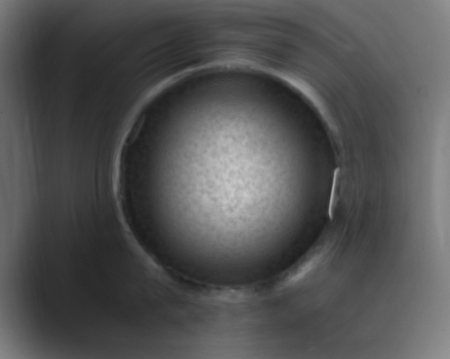 X0000089460815200706291500
