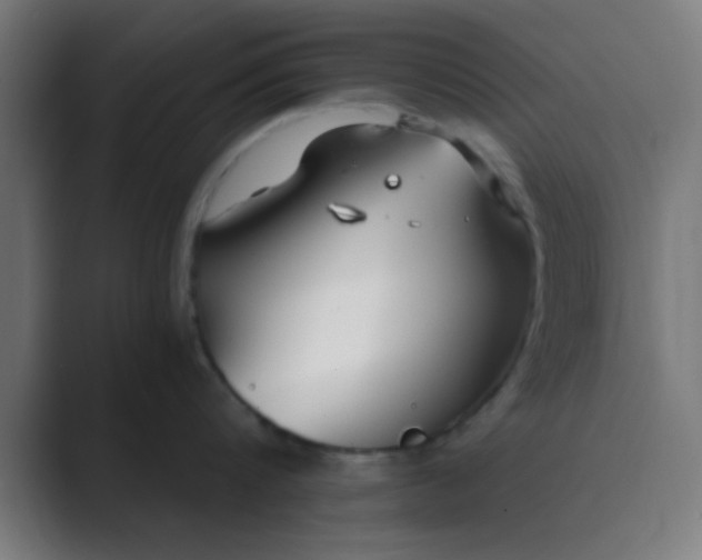 X0000089460816200706291500