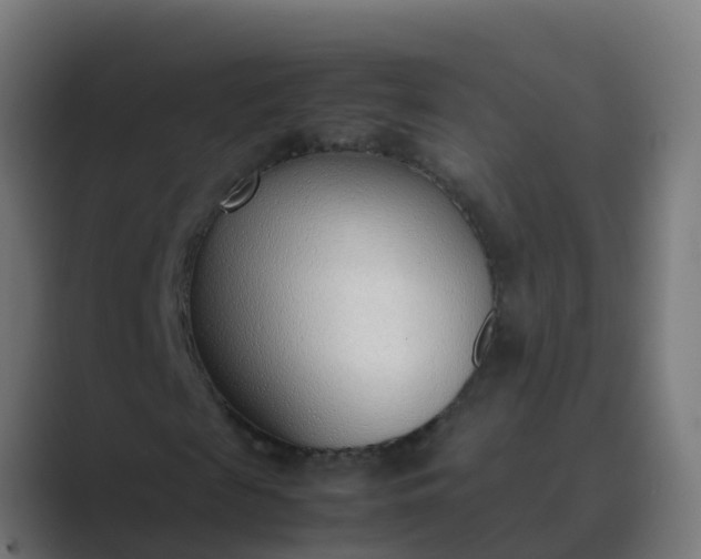 X0000089460817200706291459