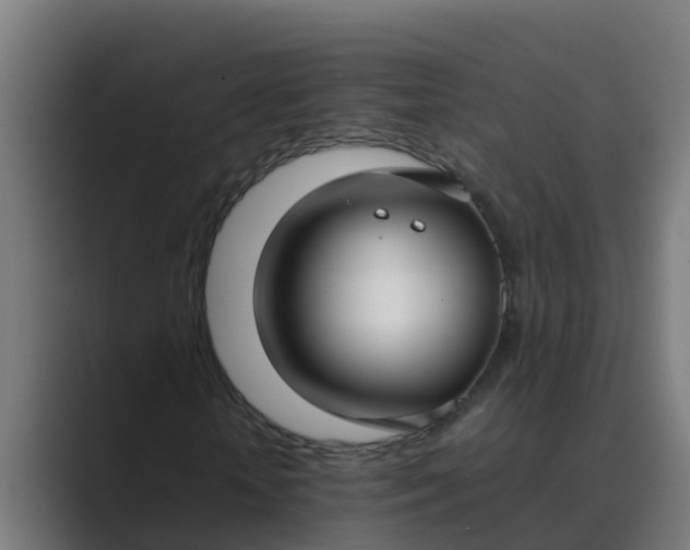 X0000089460818200706291459