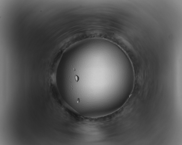 X0000089460821200706291459