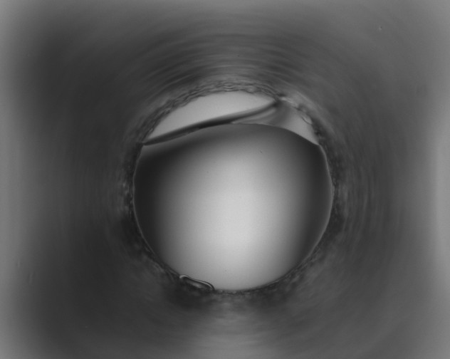X0000089460822200706291459