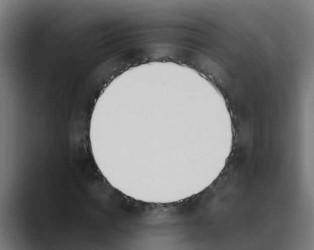 X0000089460824200706291459