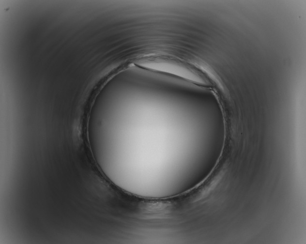 X0000089460826200706291459