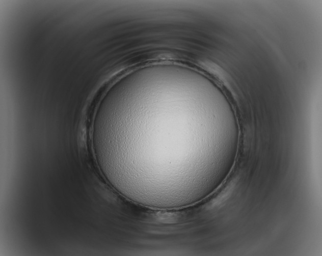 X0000089460827200706291459