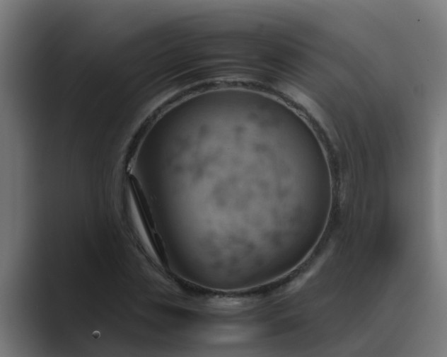 X0000089460829200706291459