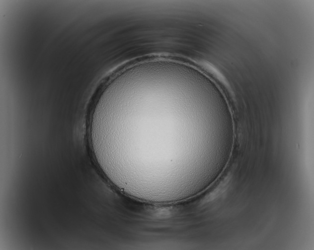 X0000089460831200706291459