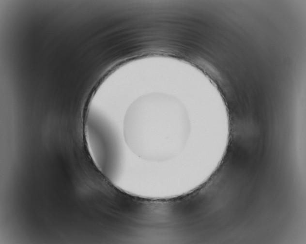 X0000089460836200706291500