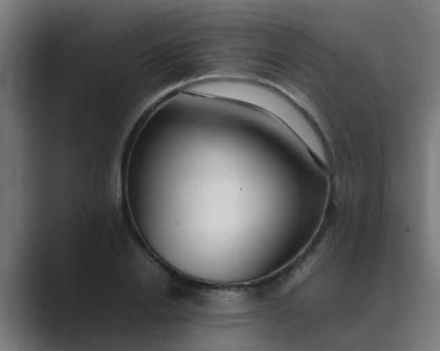 X0000089460838200706291500