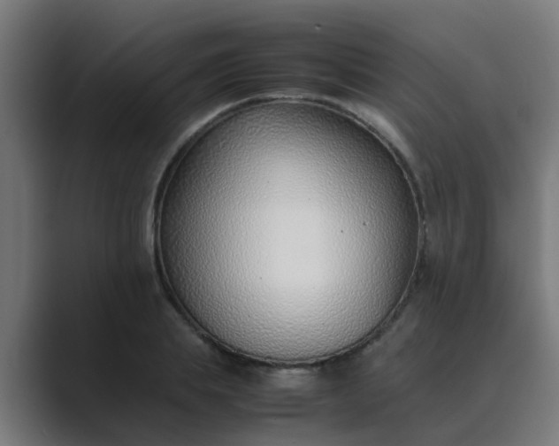 X0000089460839200706291500