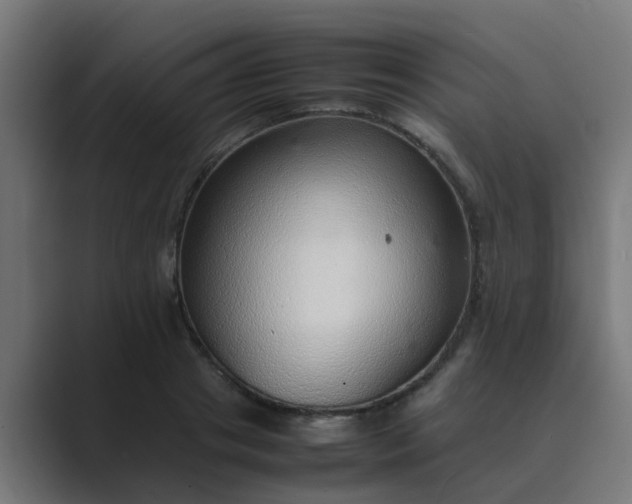 X0000089460841200706291500
