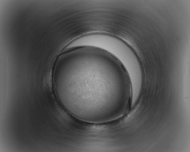 X0000089460842200706291500