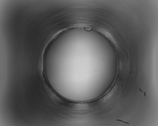 X0000089460844200706291500