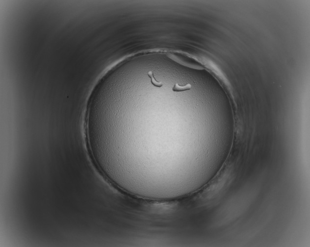 X0000089460847200706291500