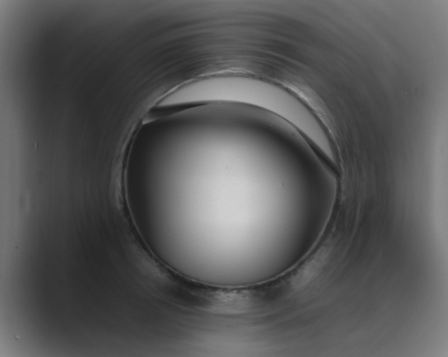 X0000089460850200706291500