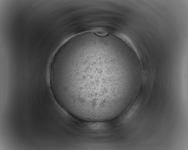 X0000089460851200706291500