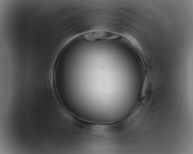 X0000089460854200706291500