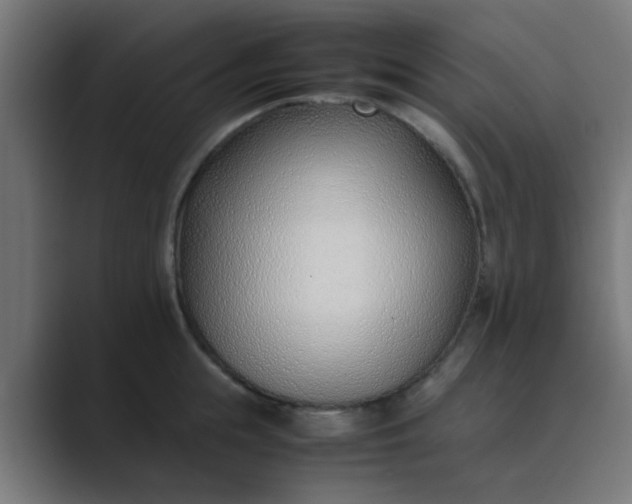 X0000089460855200706291500