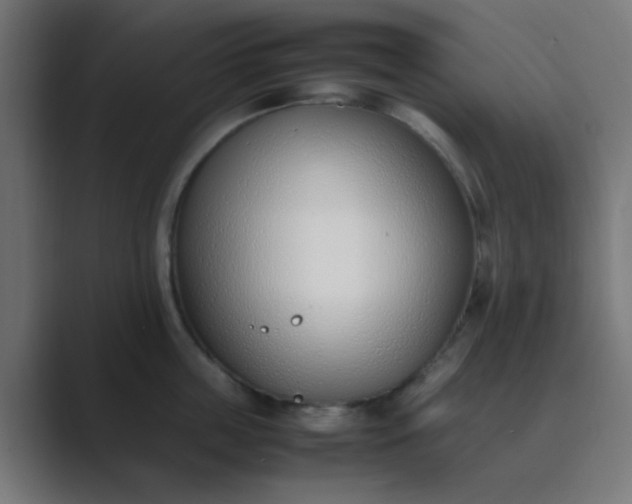 X0000089460859200706291500