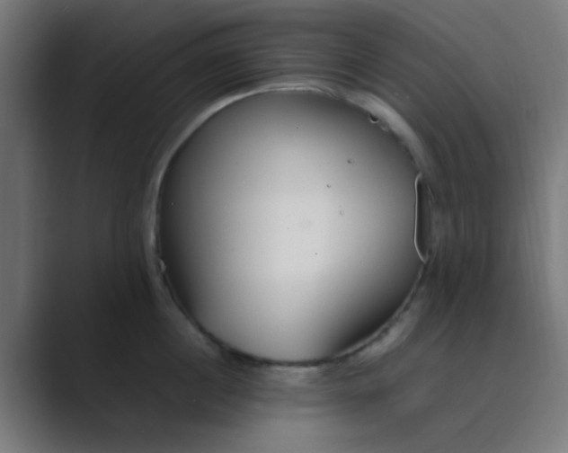 X0000089460860200706291500