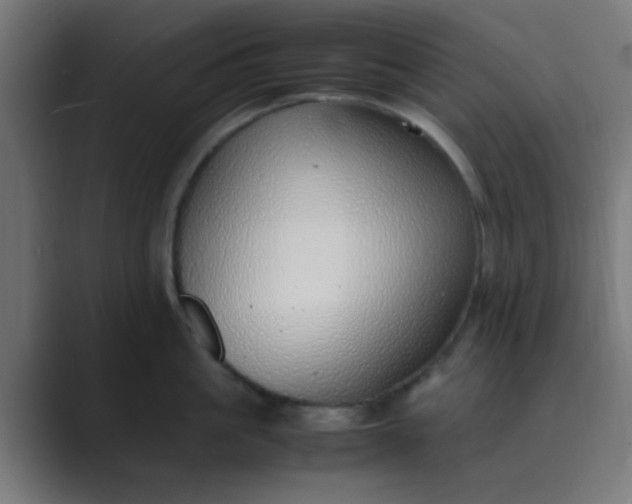 X0000089460861200706291500