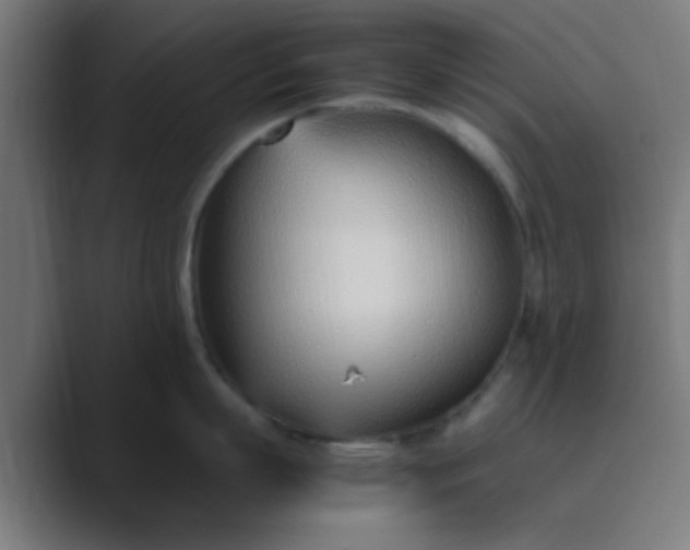 X0000089460863200706291500
