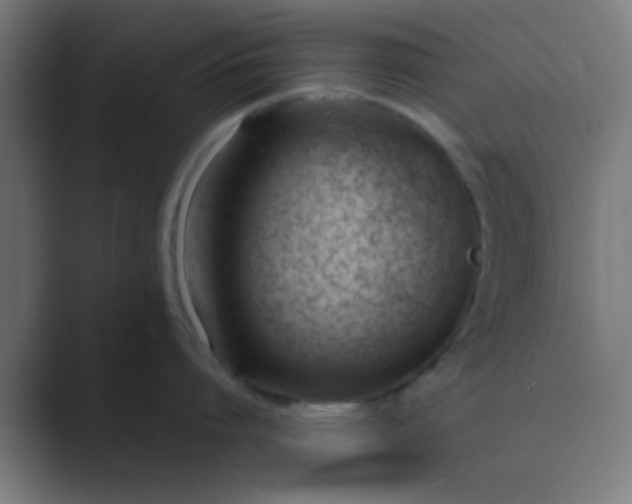 X0000089460864200706291500