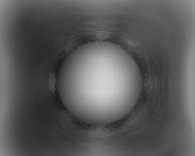 X0000089460866200706291459
