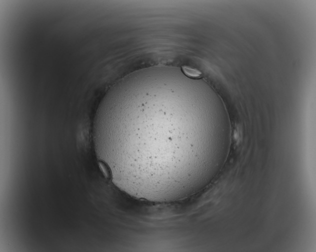 X0000089460867200706291459