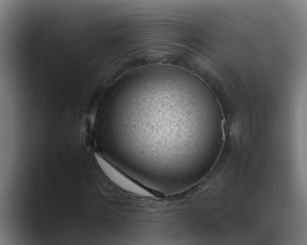 X0000089460868200706291459