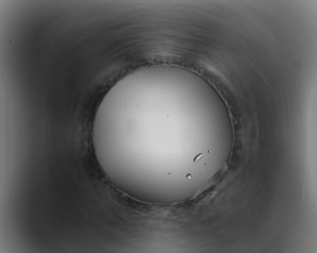 X0000089460870200706291459
