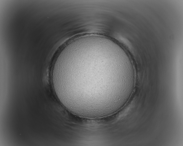 X0000089460875200706291459