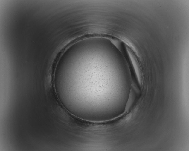 X0000089460877200706291459