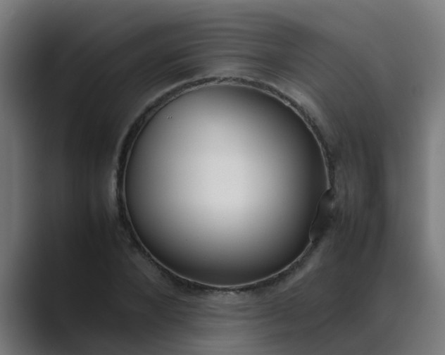 X0000089460880200706291459
