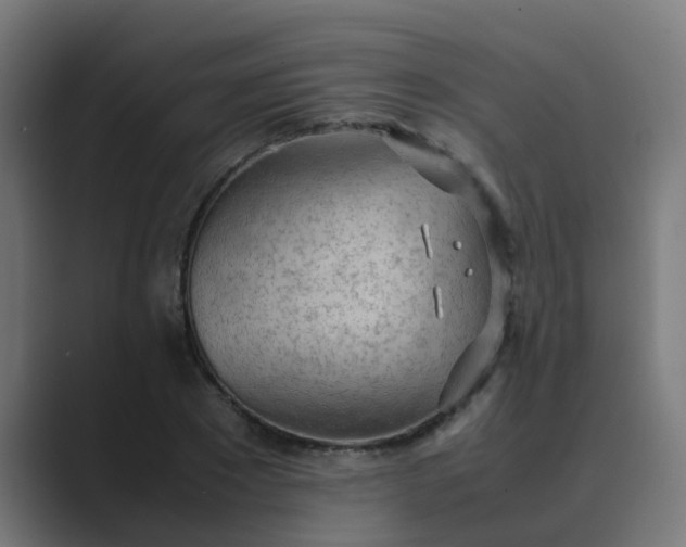 X0000089460881200706291459