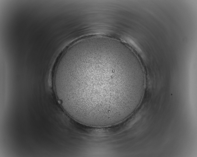 X0000089460883200706291459
