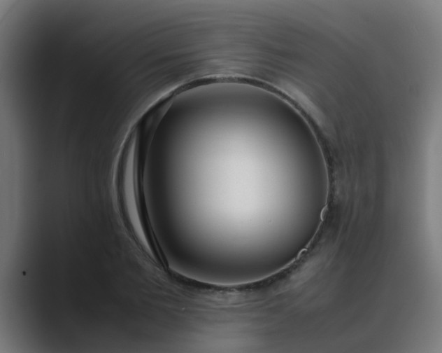 X0000089460885200706291459
