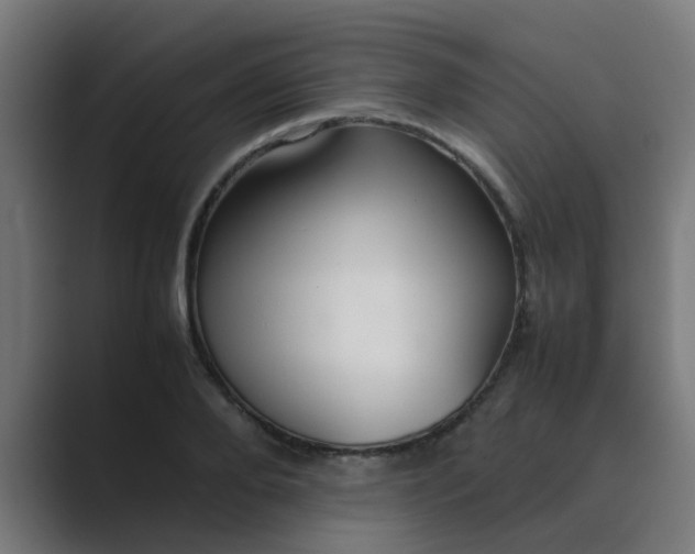 X0000089460888200706291459