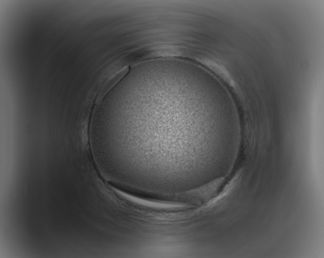 X0000089460889200706291459