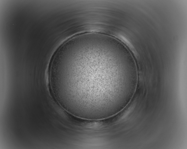 X0000089460891200706291459