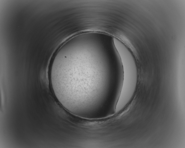 X0000089460892200706291459