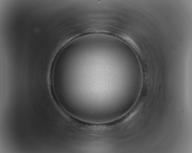 X0000089460893200706291459