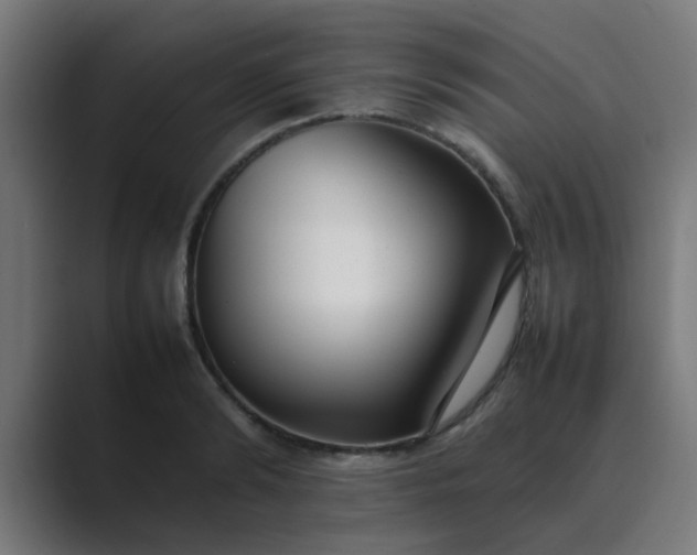 X0000089460894200706291459