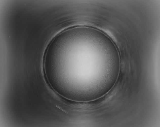 X0000089460895200706291459