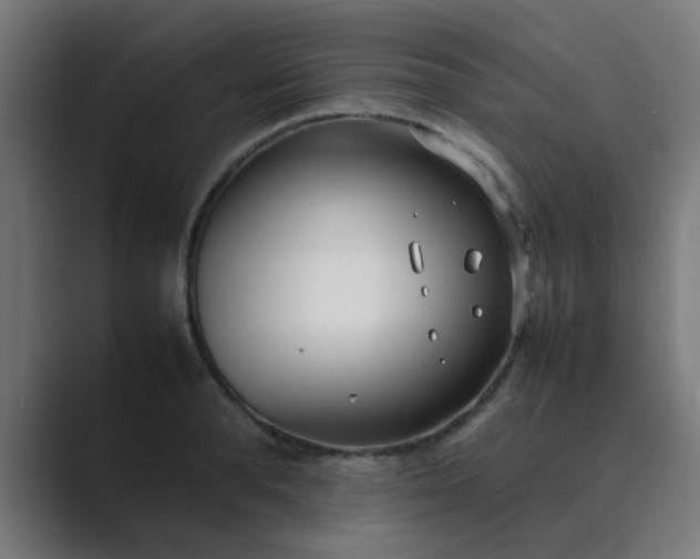 X0000089460896200706291459