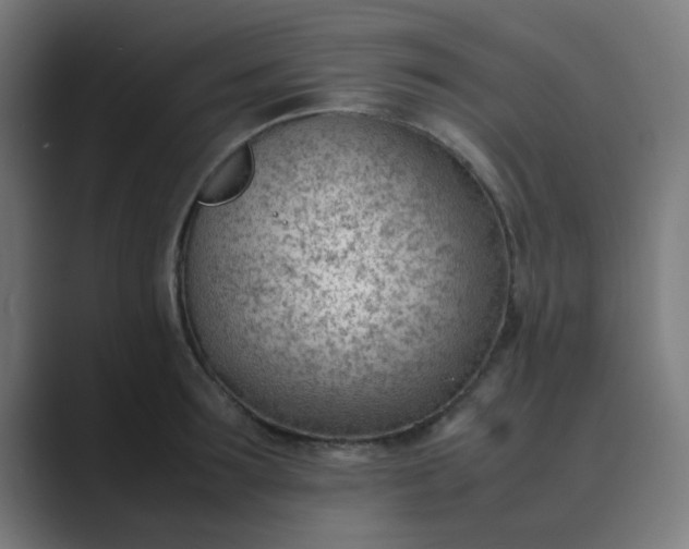 X0000089460899200706291459