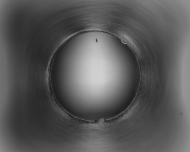 X0000089460900200706291459