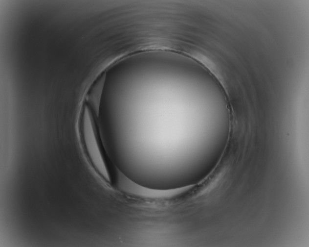 X0000089460901200706291459